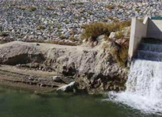 Yandaşa ihale için denize akan milyonlarca dolarlar…