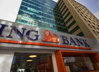 Hollandalı şirketlera boykot başladı