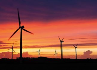 Sektör ihaleye kilitlendi: Rüzgâr da “çılgın” esecek