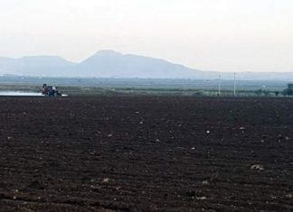 Tarımı bitiren tohum planının altında hangi şirket var