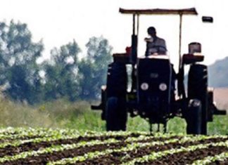 ULUSLARARASI GIDA KARTELLERİ VE TEKELLERİ TÜRKİYE’ DE “TARIM” SEKTÖRÜNÜ ÖLDÜRÜYOR