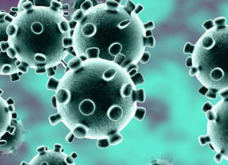 KKTC YURT DIŞI TEMSİLCİLİKLERİ ACİL DURUM HATLARI