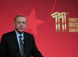 Erdoğan: 46 ana eylem ve 324 alt eylem belirledik