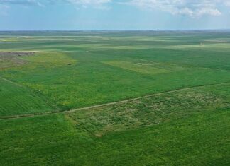 Türkiye’den KKTC’ye Tarımda Can Suyu Kaynak: Türkiye’den KKTC’ye Tarımda Can Suyu