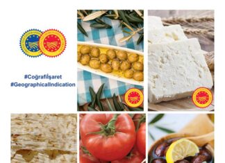 Türk ürünlerinin AB yolculuğu hızlanarak sürüyor!