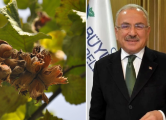 İtalyan firmanın tekelliği son buldu: Artık fındık fiyatını sadece Türkiye belirleyecek