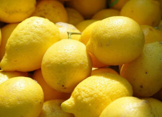 Türkiye’de Pestisitli limon krizi büyüyor: AB alarm verdi, hepsi gümrükten geri gönderildi