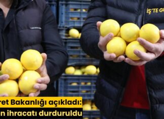 TÜRKİYE CUMHURİYETİ TİCARET BAKANLIĞI limon ihracatının 8 Nisan tarihinden itibaren durdurulduğunu açıkladı