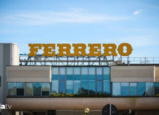 Fındık tekeline istinaf freni: Sektöre zarar verecekti