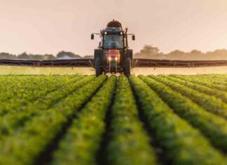 Güney Kıbrıs, Kuzey Kıbrıs’ta çiftçilik yapan Rumlara 20 bin euroya kadar destek verecek