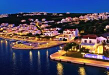 VİZYON KIBRIS PROJESİ