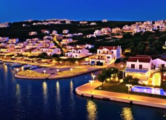 VİZYON KIBRIS PROJESİ